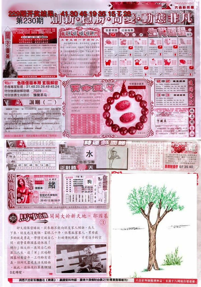 图片加载中