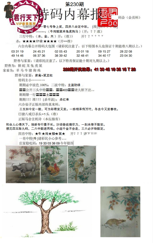 图片加载中