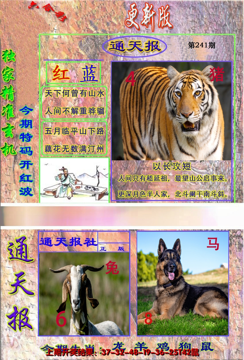 图片加载中