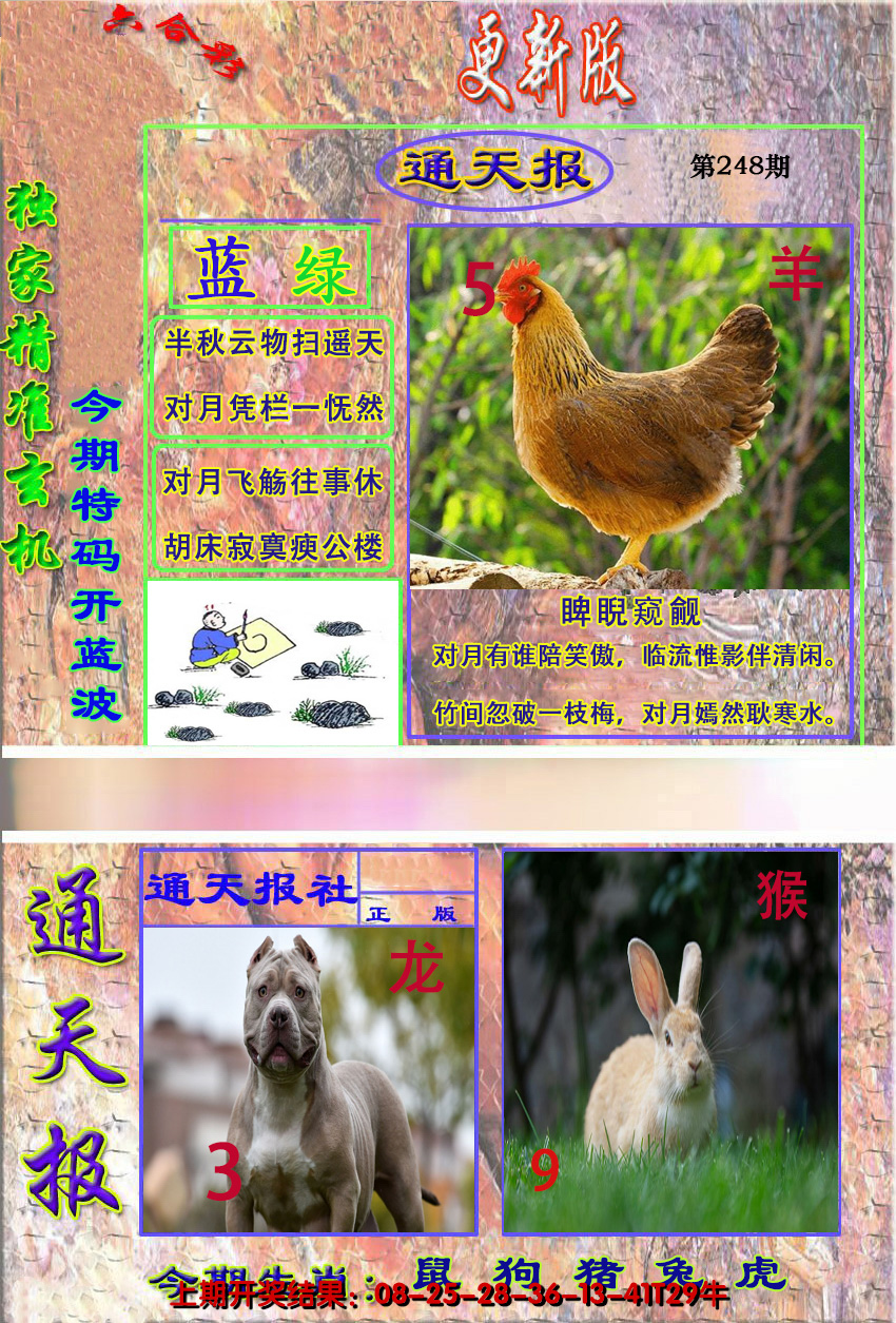 图片加载中