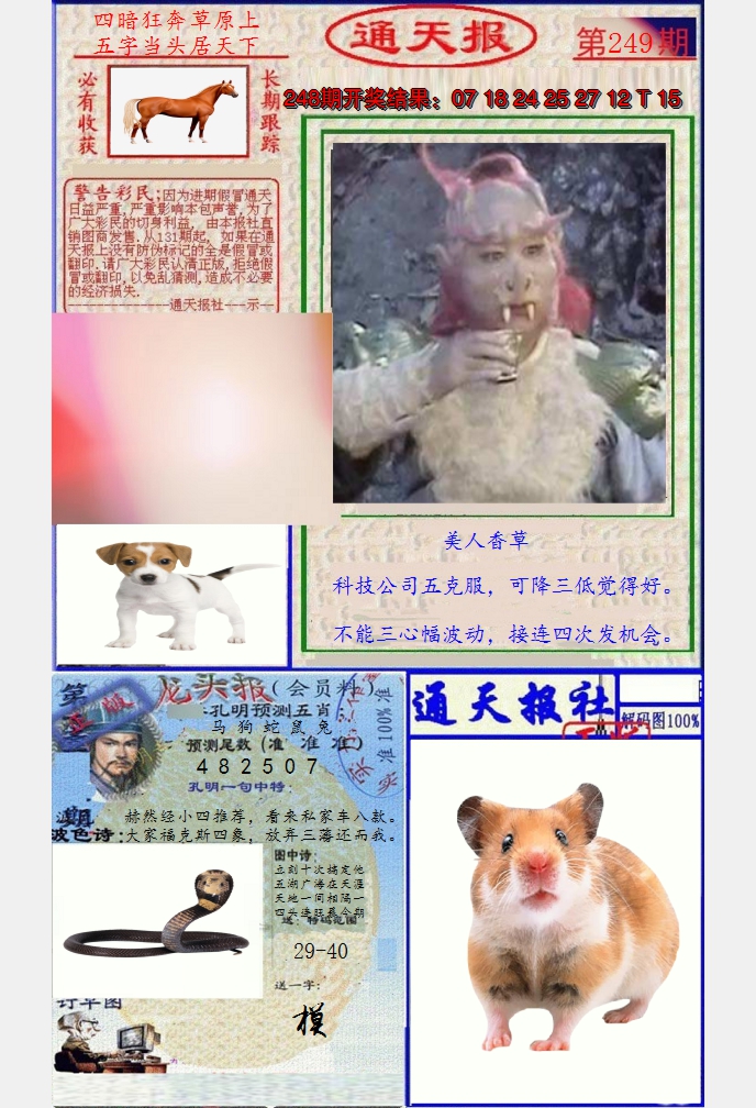 图片加载中