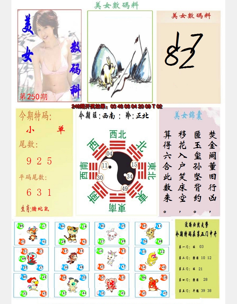 图片加载中