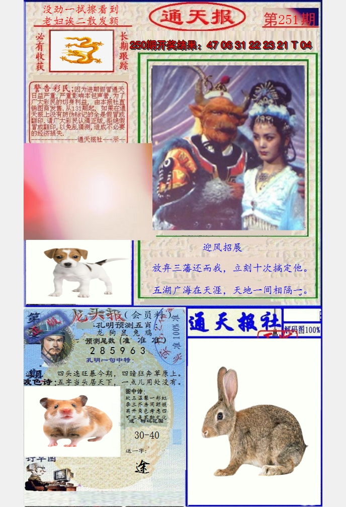 图片加载中