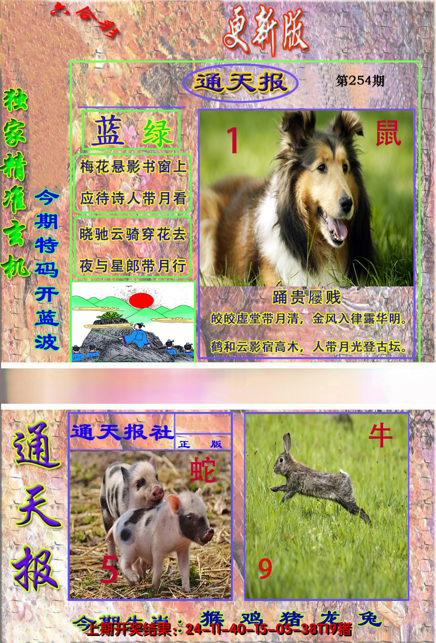 图片加载中