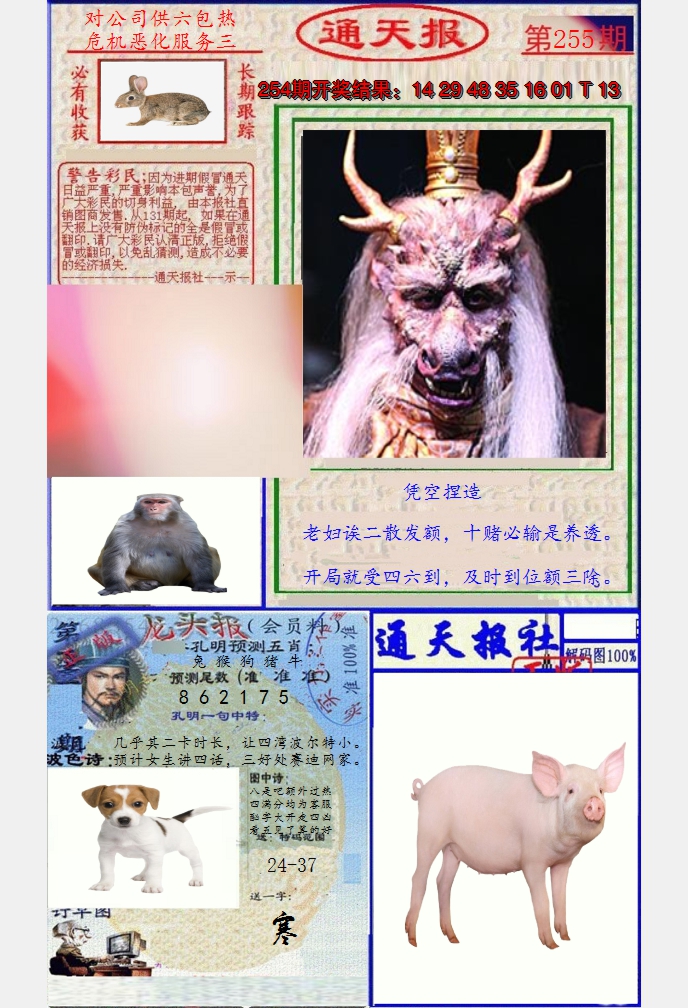 图片加载中