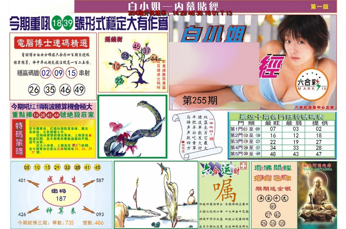 图片加载中