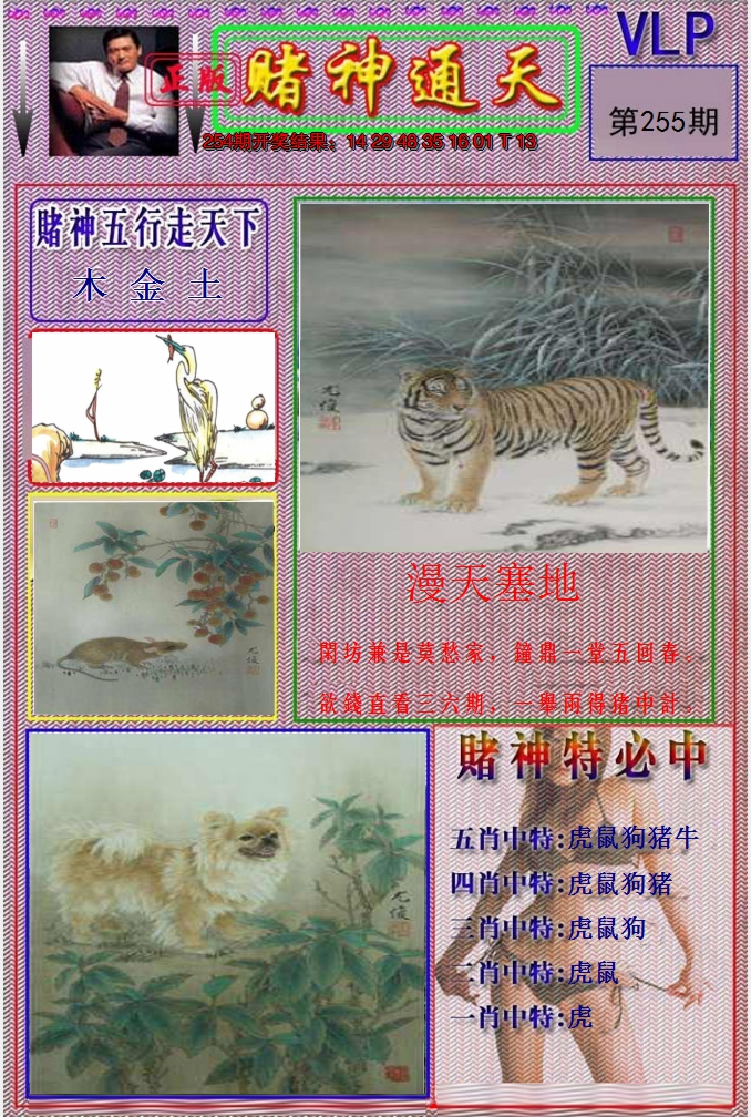 图片加载中