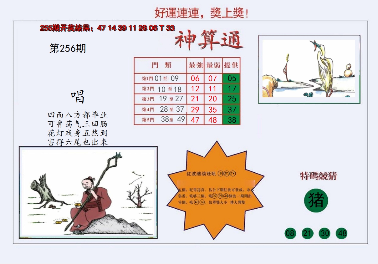 图片加载中
