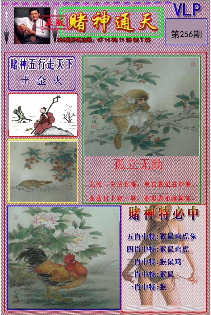 图片加载中