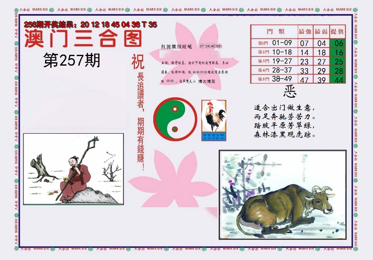 图片加载中