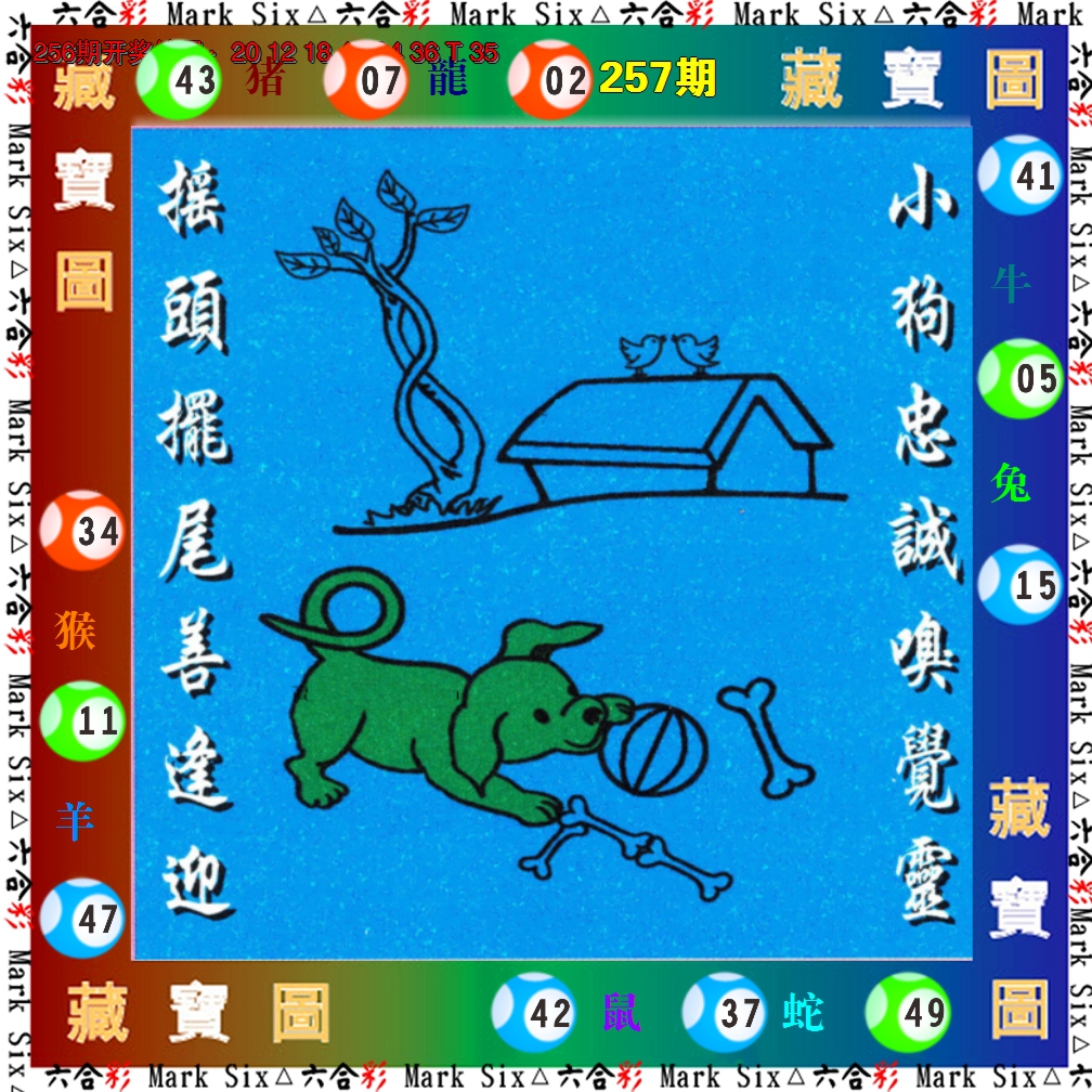图片加载中