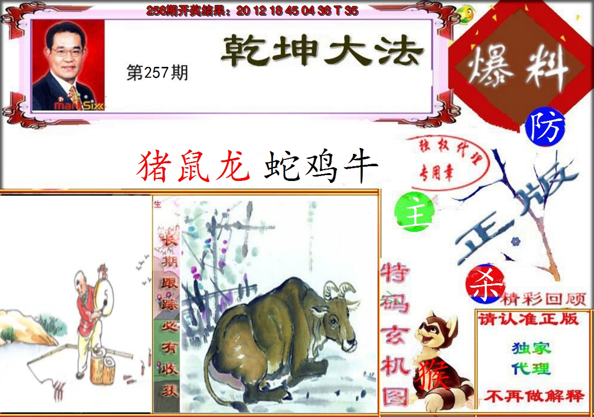 图片加载中