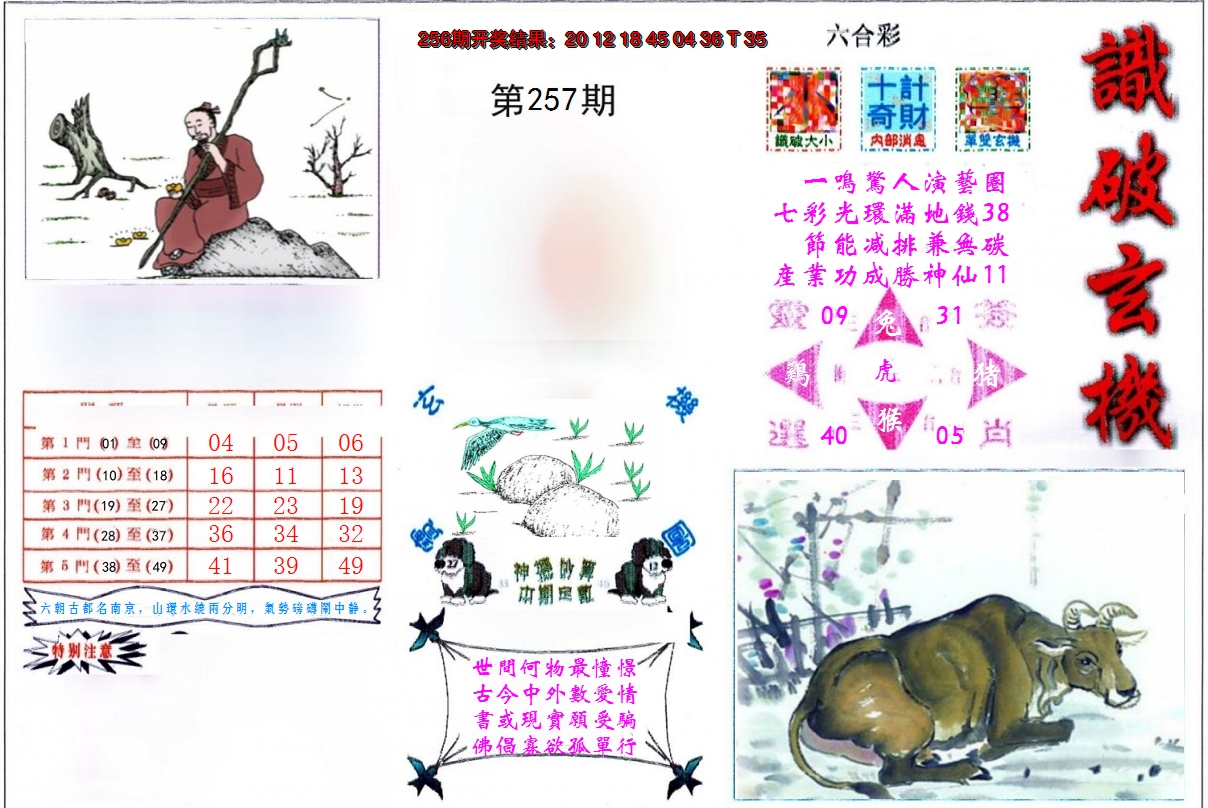 图片加载中