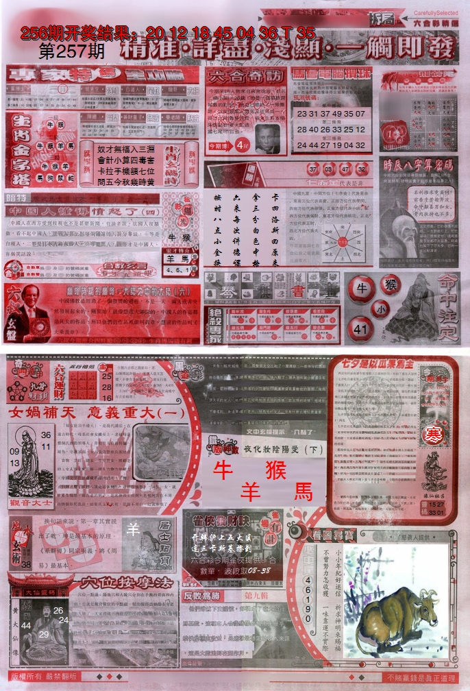 图片加载中