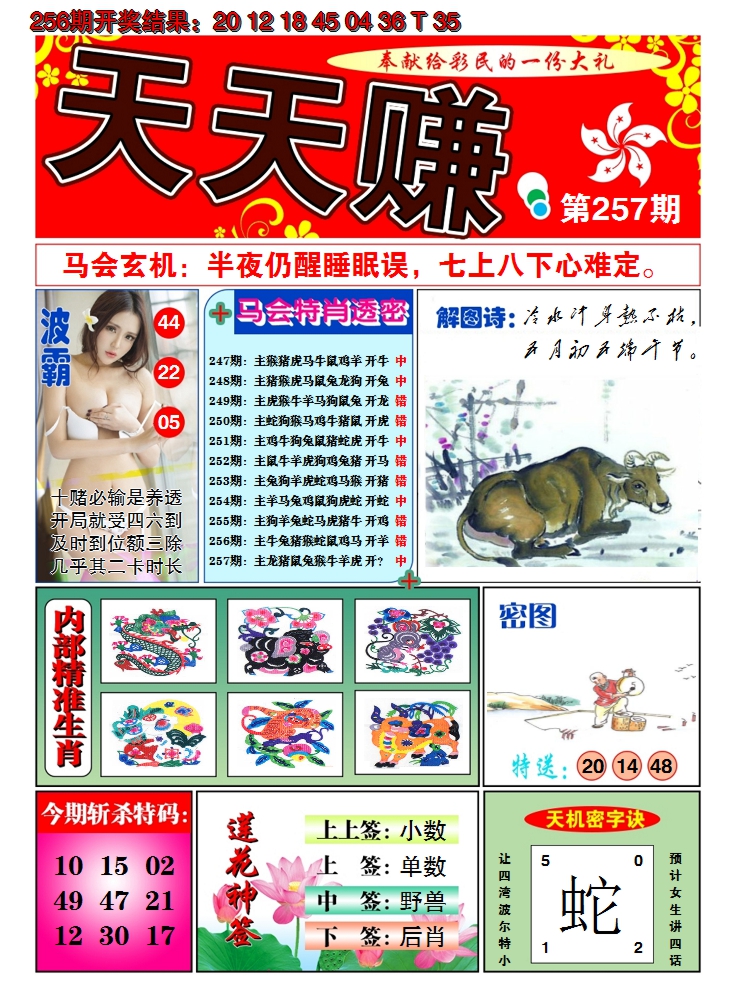 图片加载中