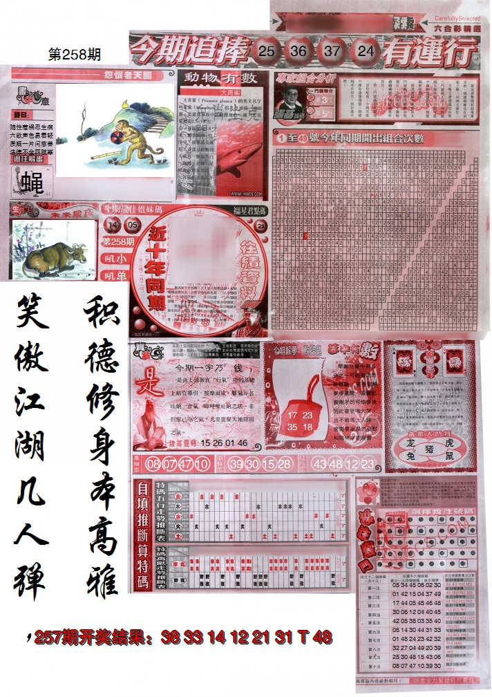 图片加载中