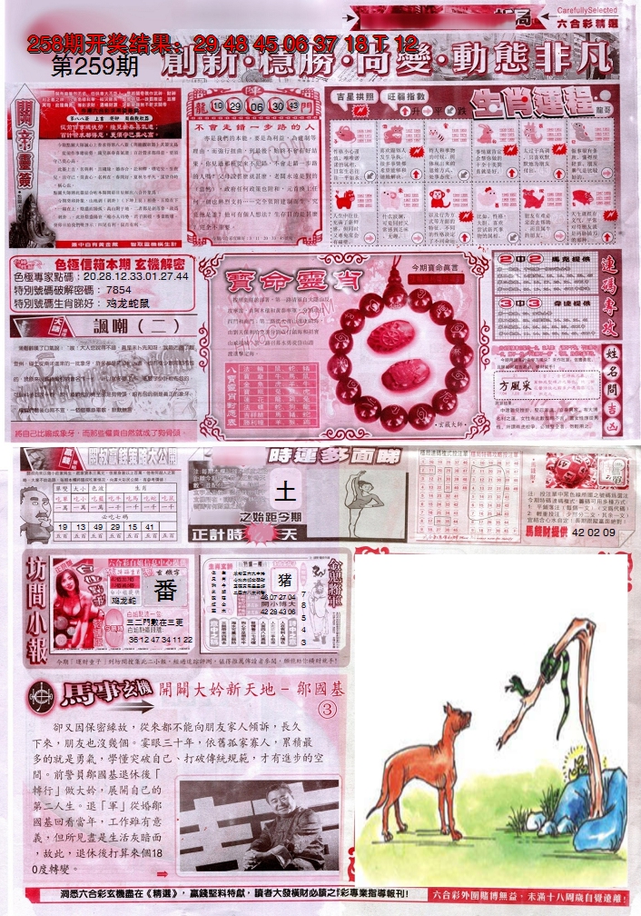 图片加载中