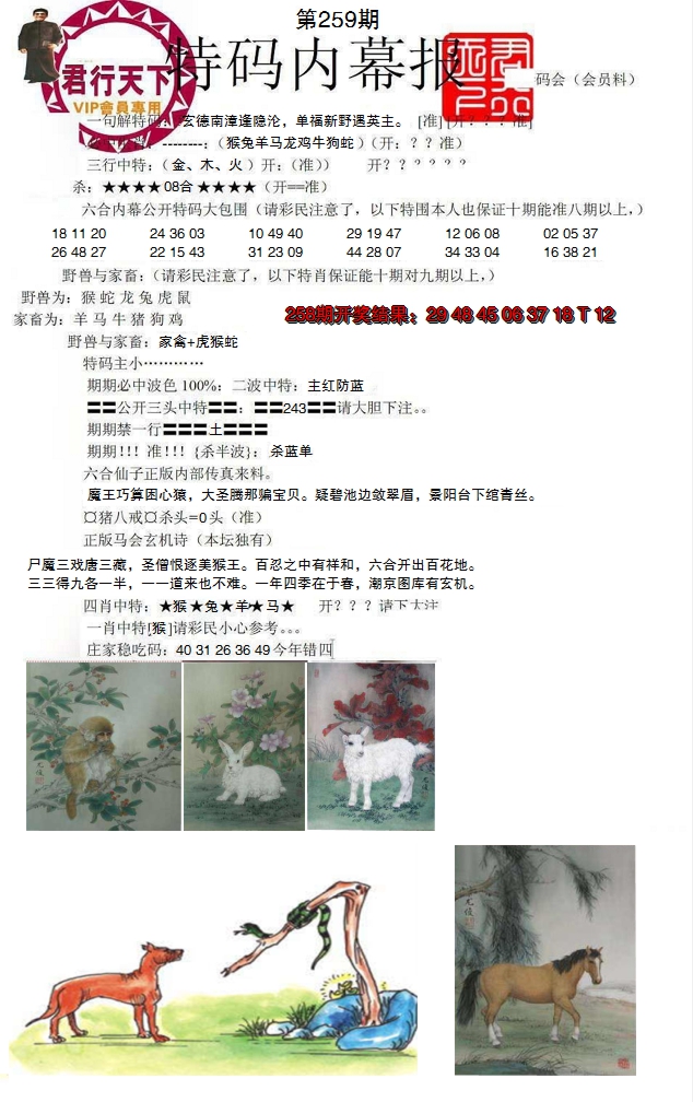 图片加载中
