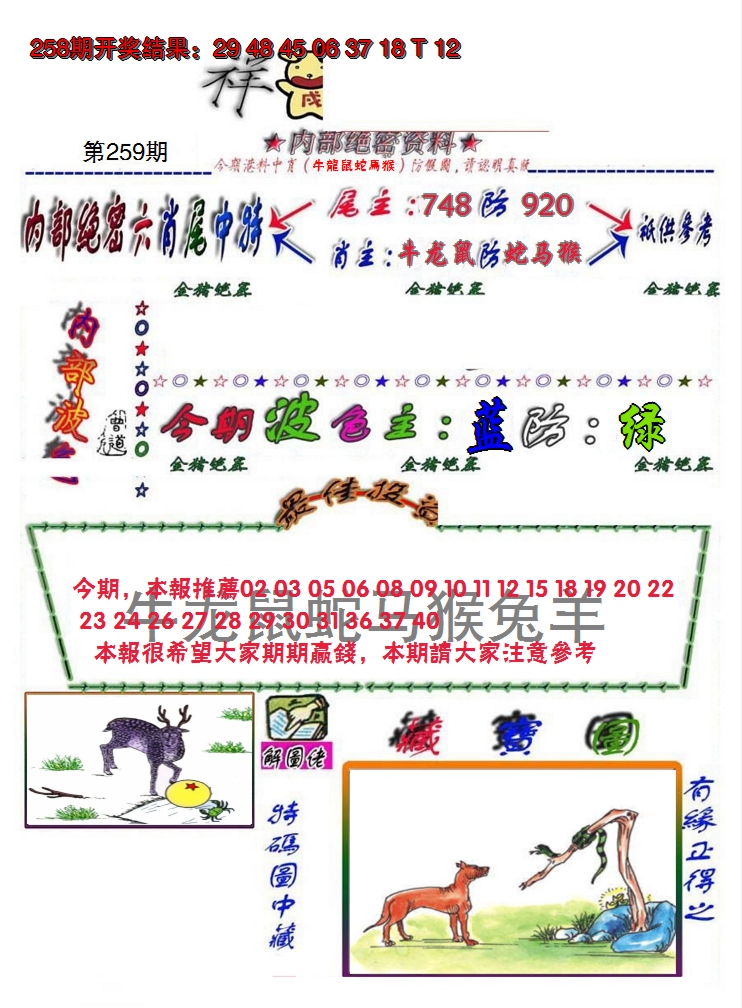 图片加载中
