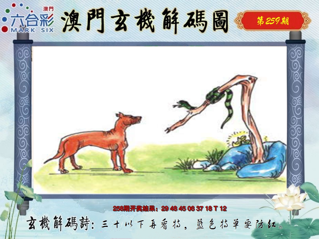 图片加载中