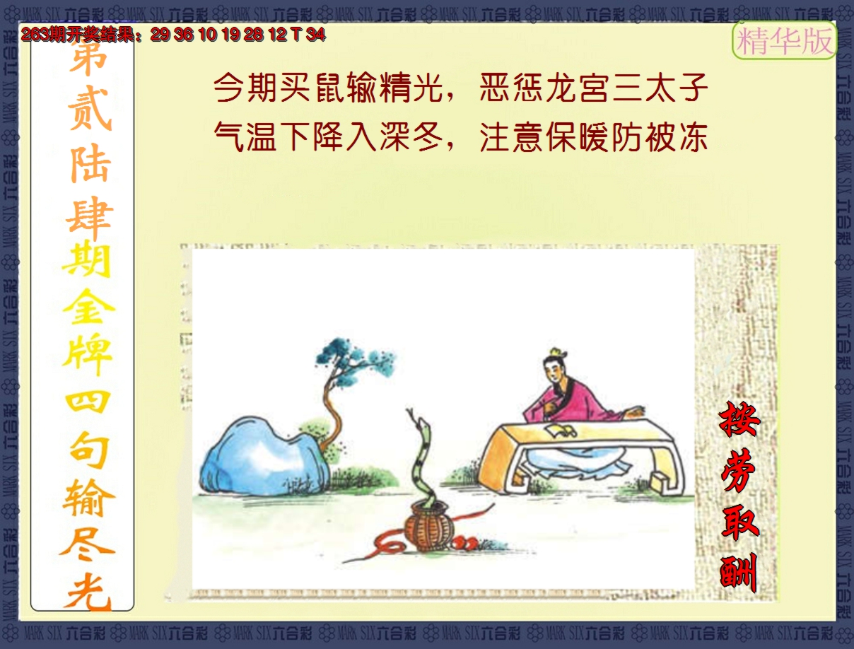 图片加载中