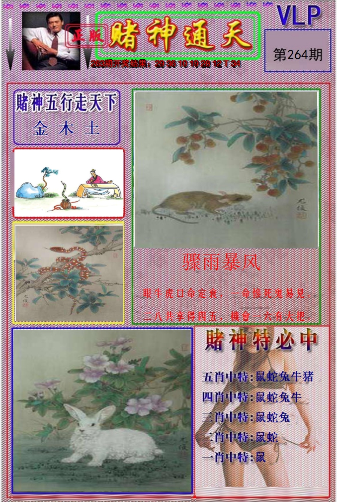 图片加载中