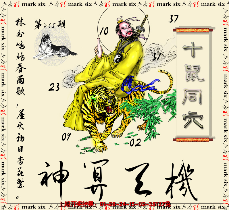 图片加载中