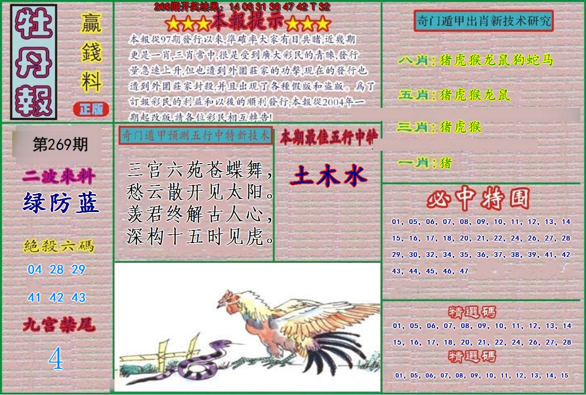 图片加载中