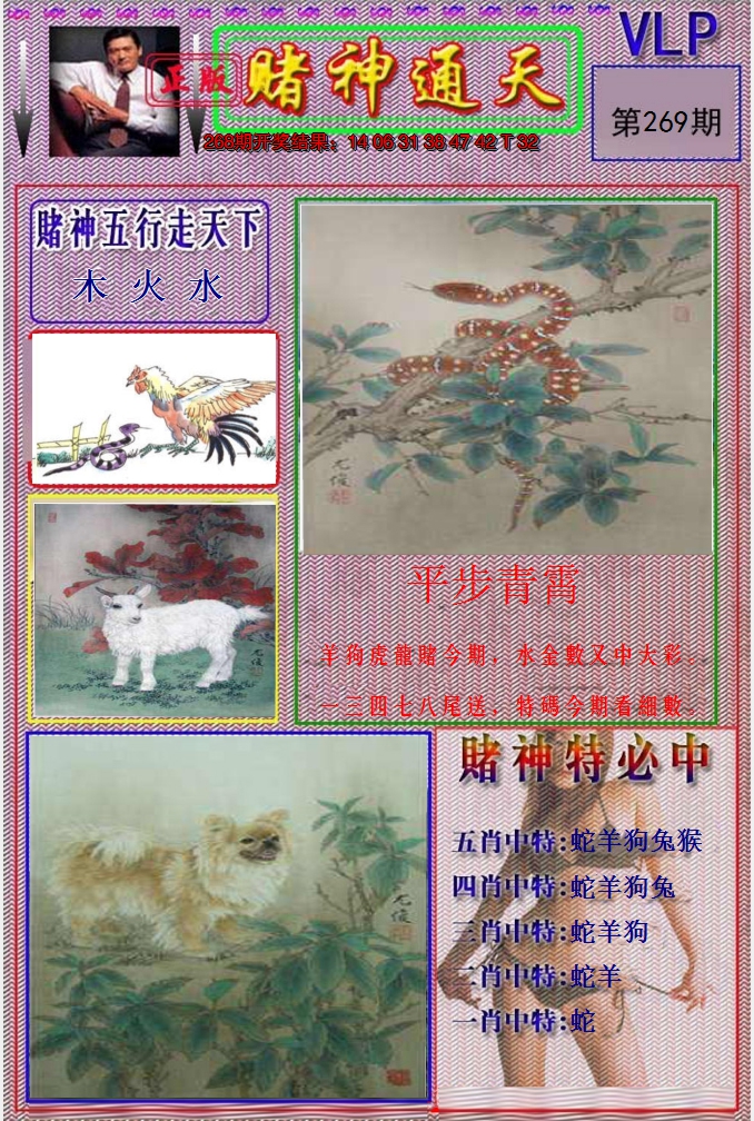 图片加载中