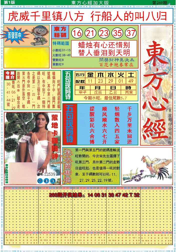图片加载中