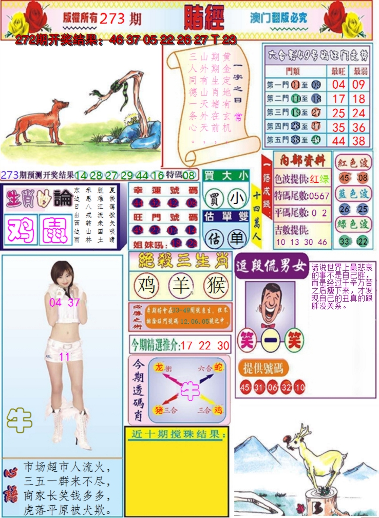 图片加载中