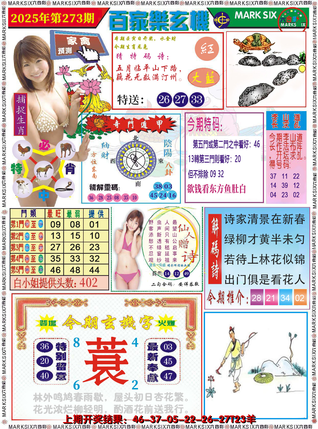 图片加载中