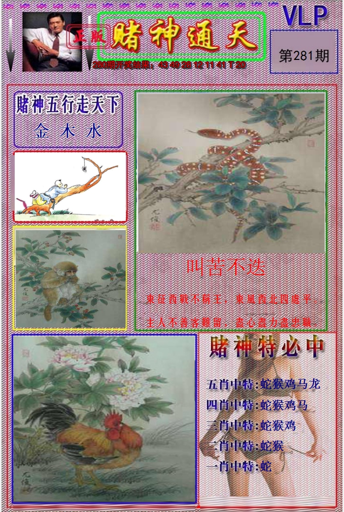图片加载中