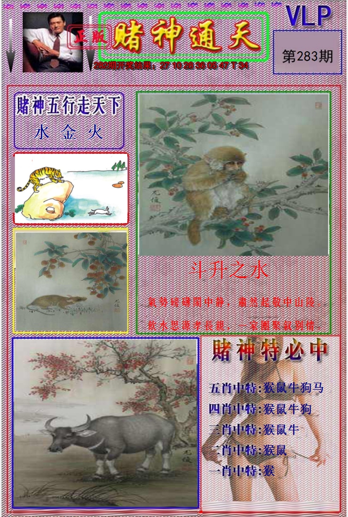 图片加载中