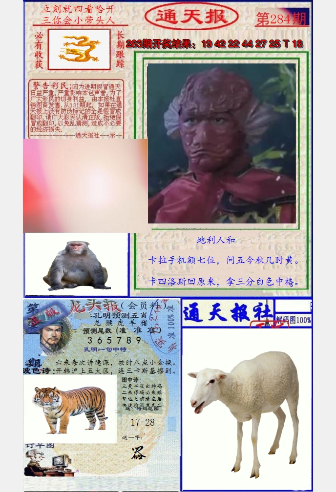 图片加载中