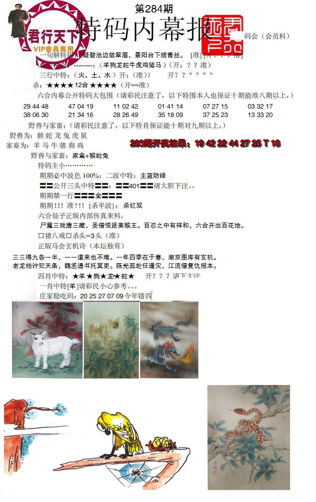 图片加载中