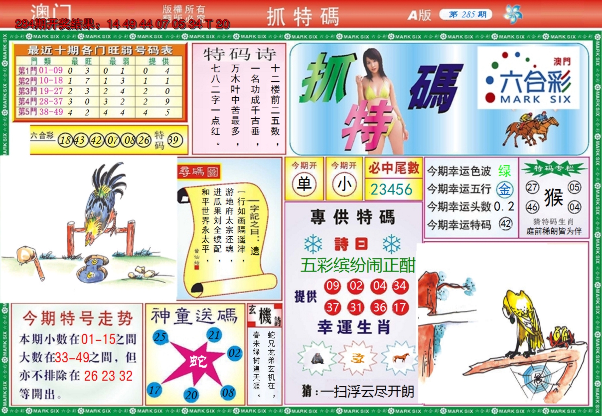 图片加载中