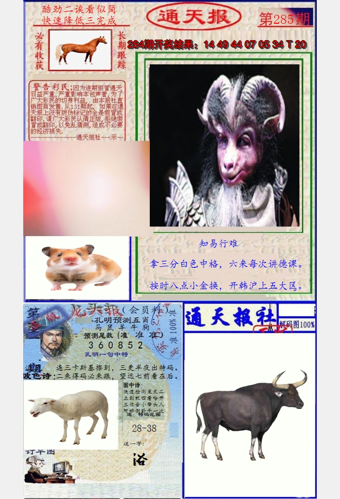 图片加载中