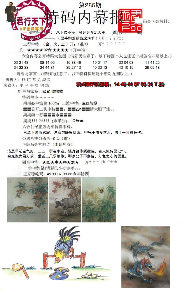 图片加载中