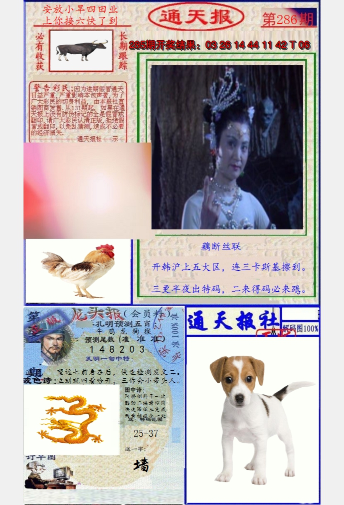 图片加载中