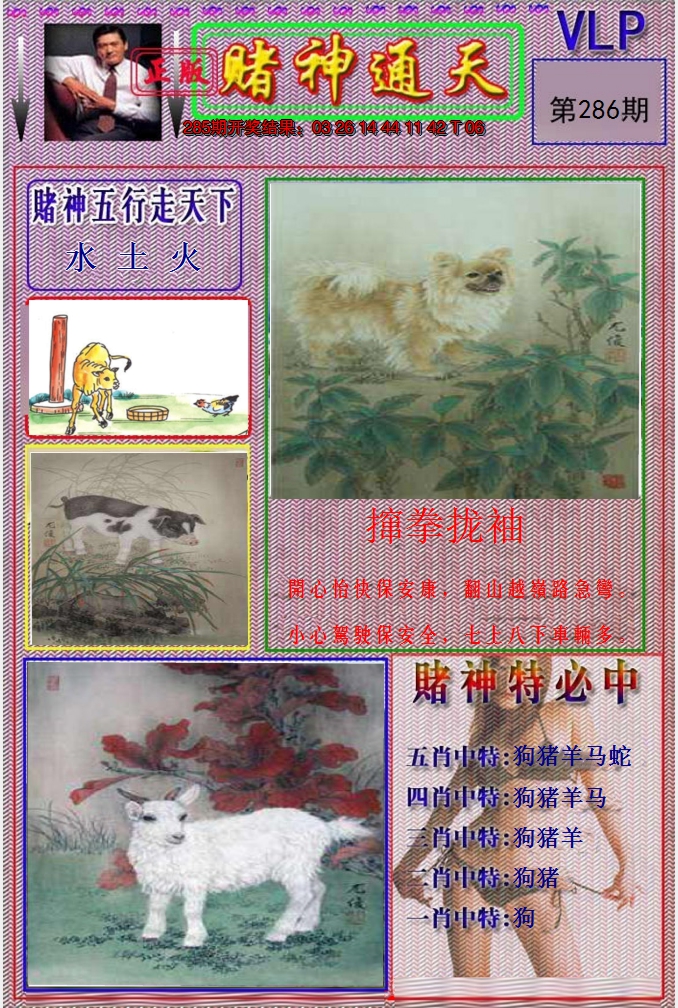 图片加载中