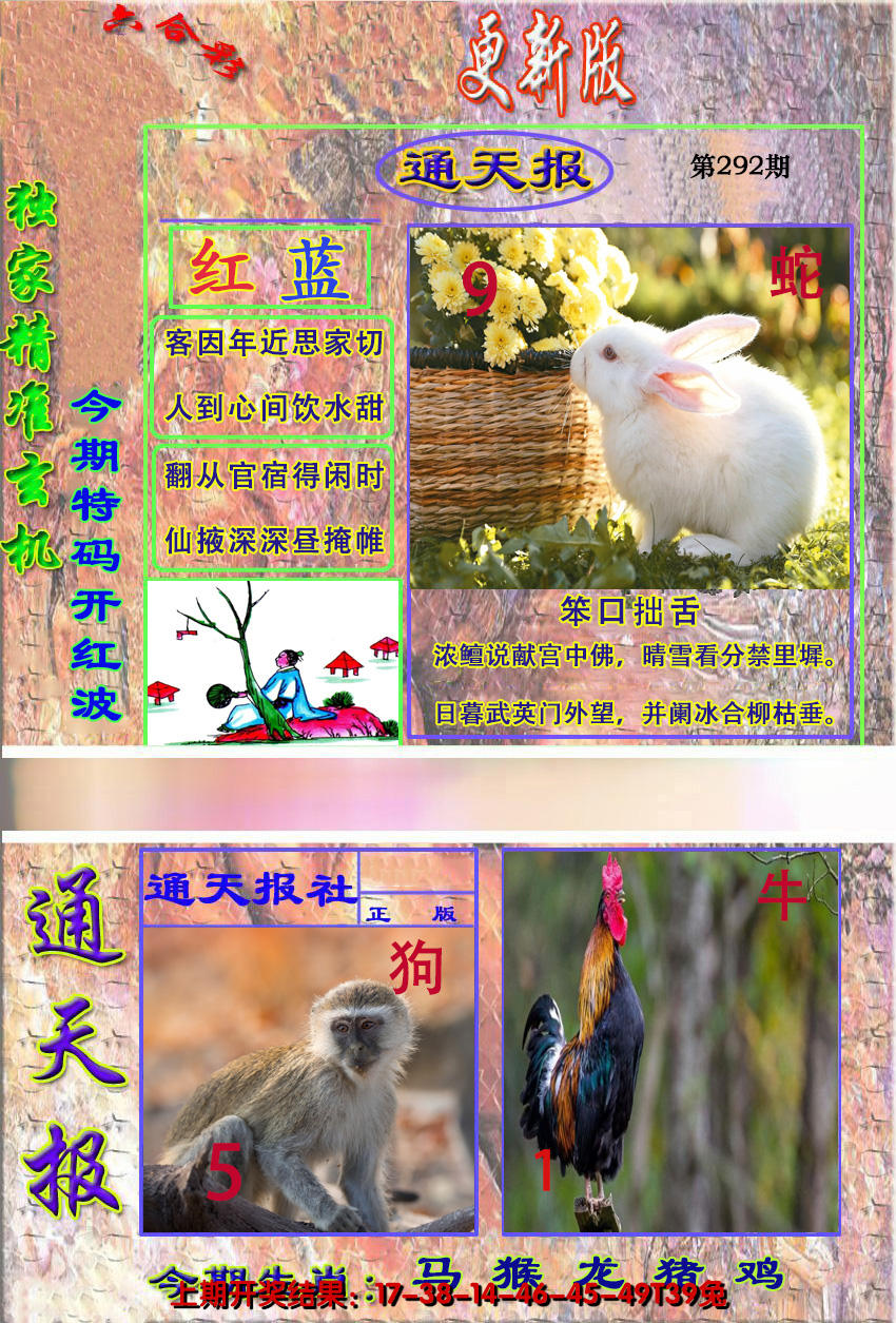 图片加载中