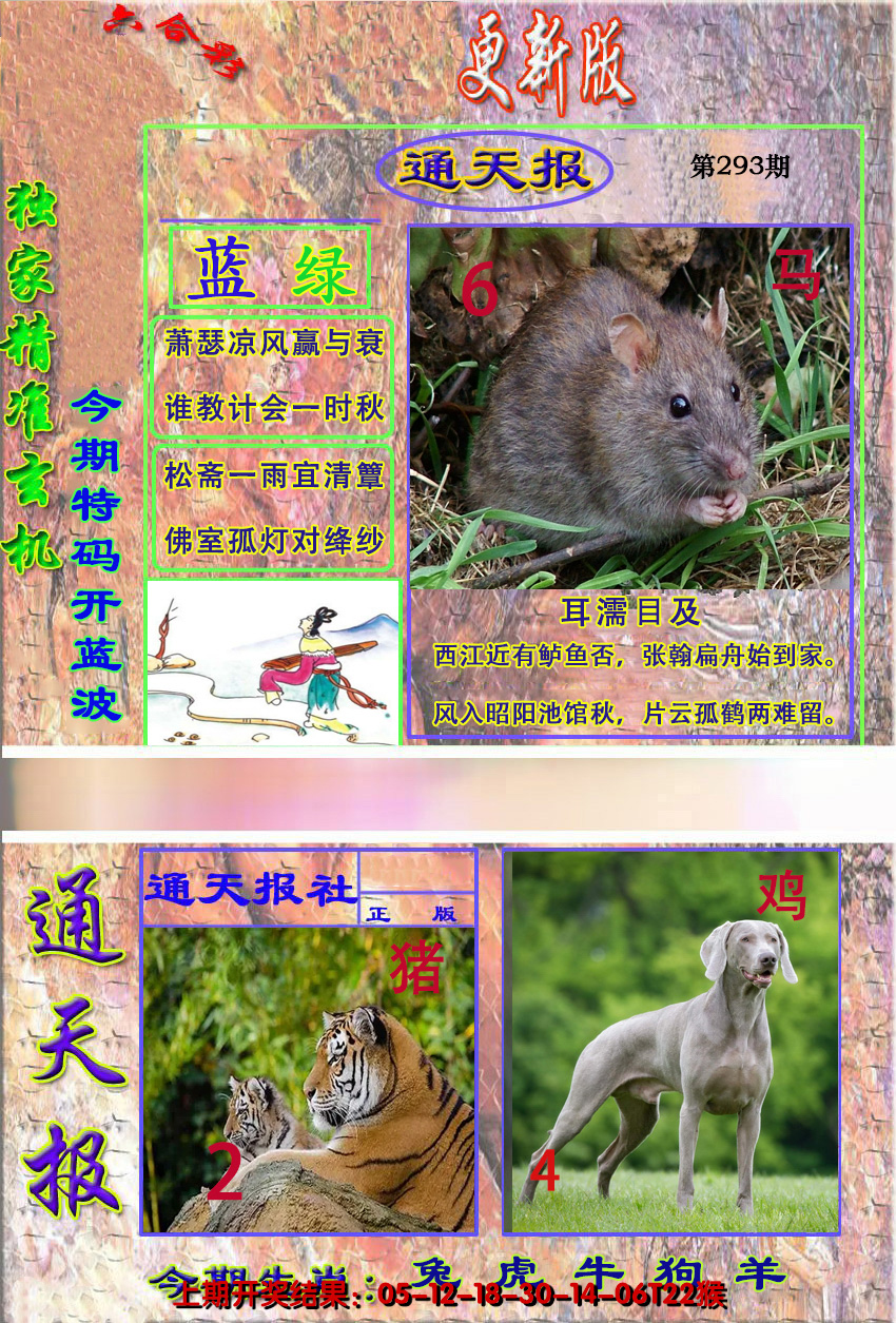 图片加载中