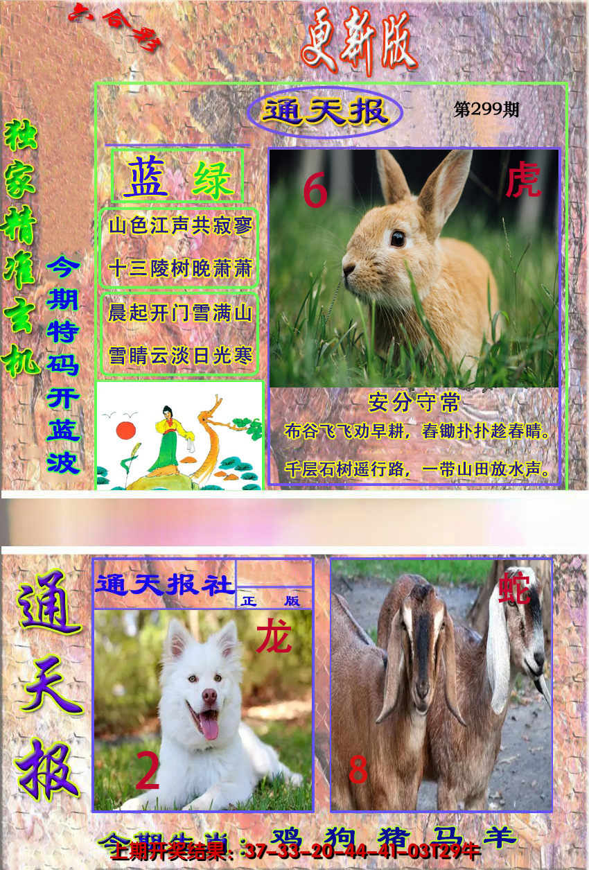 图片加载中