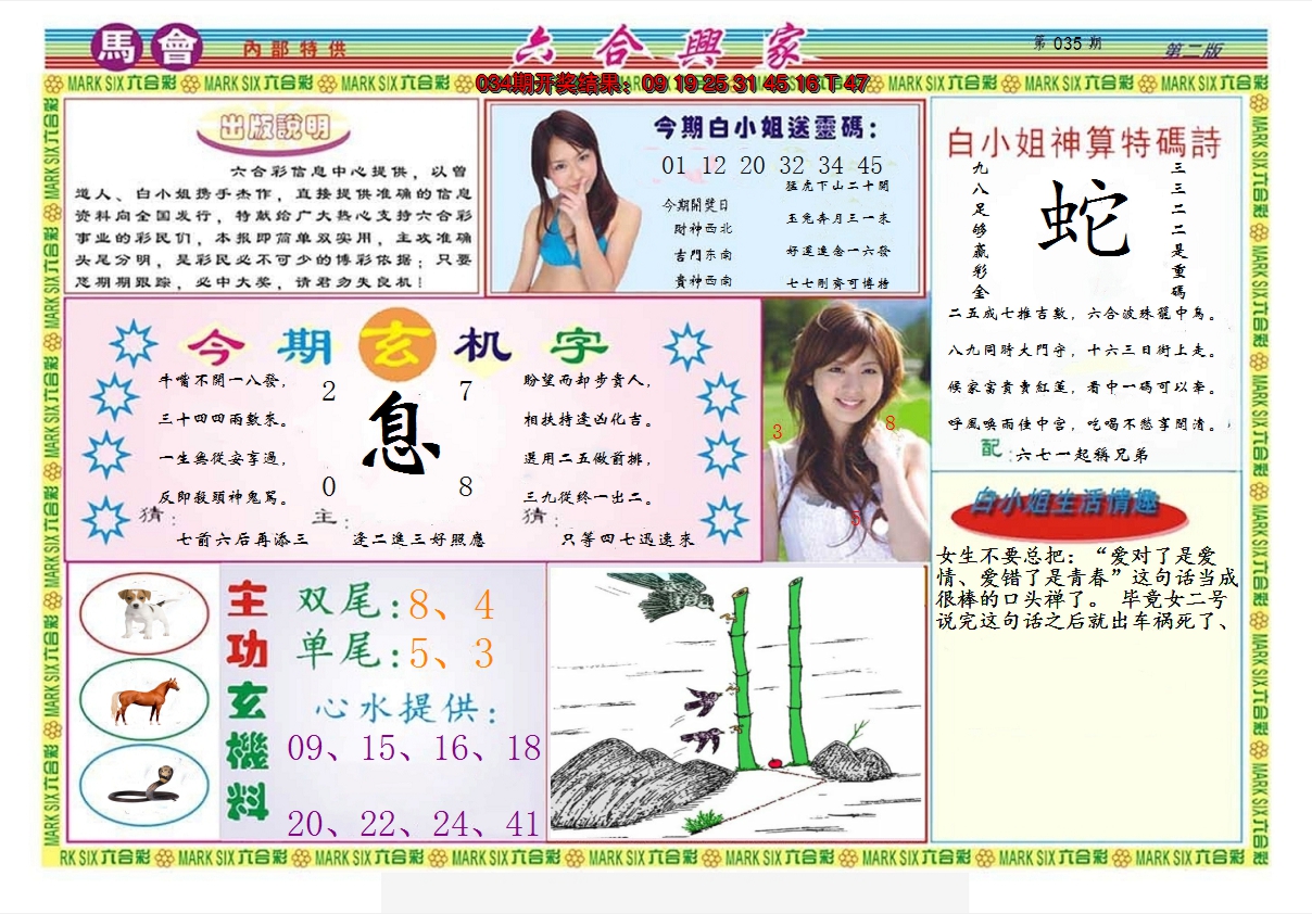 图片加载中