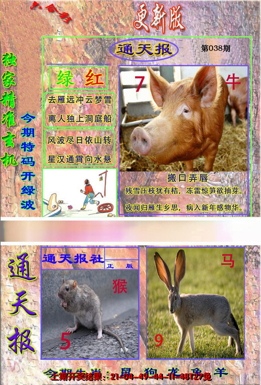 图片加载中