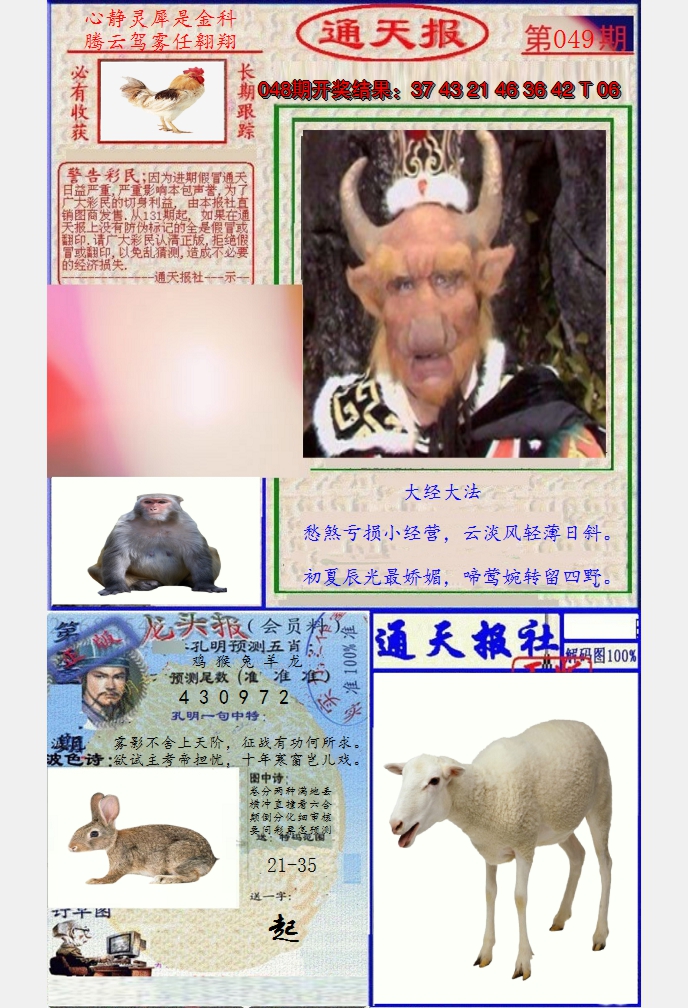 图片加载中