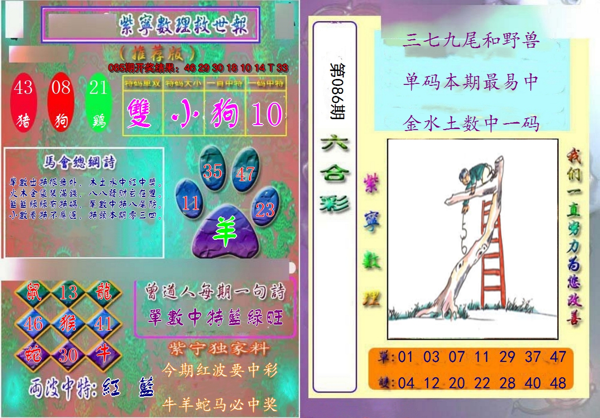 图片加载中